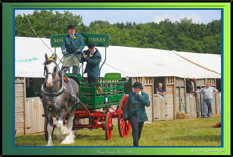 DSC_2945.jpg - Nikon D300 New Forest Show 2008 - Heavy Horse pulling a Trailer at the New Forest Show.