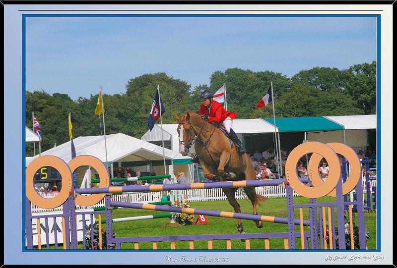 DSC_3305.jpg - Canon 40d - Horse Jumping fence at the New Forest Show 2008.