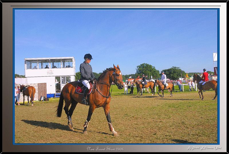 DSC_3516.jpg - Nikon D300 - Horse Parade at the New Forest Show 2008.